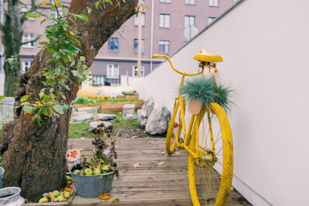 VIDEOD I Söödavate taimede kasvatamine Tallinnas muutub järjest populaarsemaks